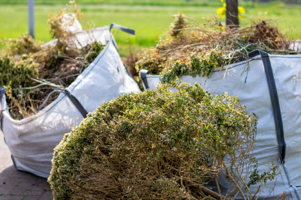 Best Construction Debris Removal  in Chatsworth, IL
